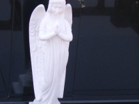 s41