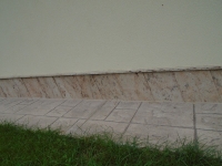 DSC02290