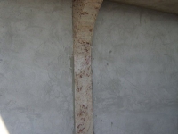 STA71859